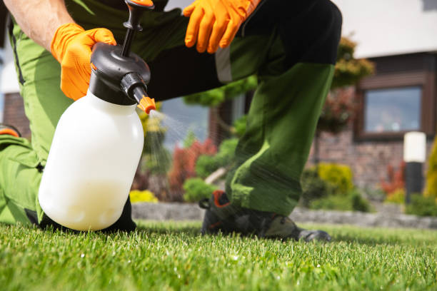 Best Pest Control Near Me  in Oswego, IL