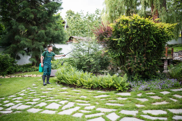  Oswego, IL Pest Control Pros