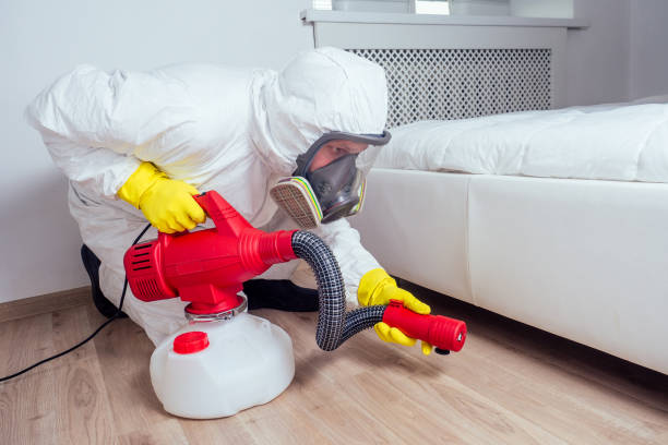 Reliable Oswego, IL Pest Control Solutions
