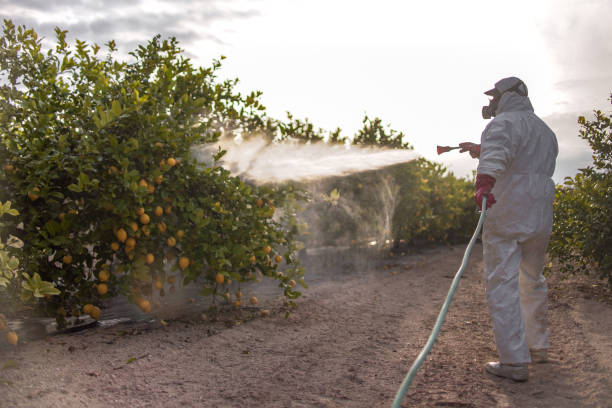 Best Commercial Pest Control Services  in Oswego, IL