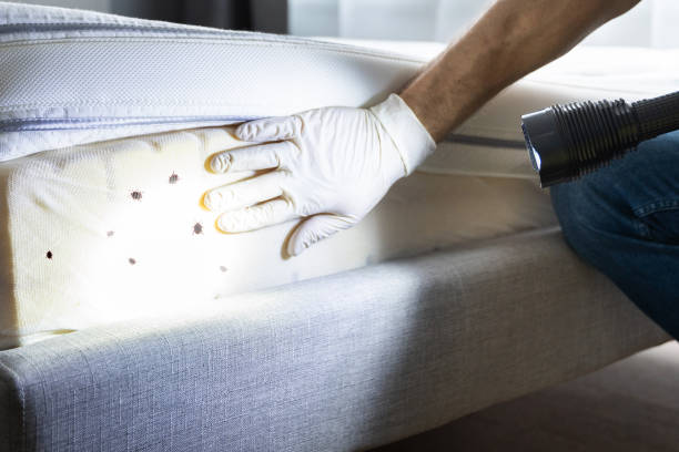 Best Affordable Exterminators  in Oswego, IL