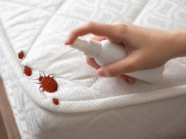 Best Pest Control for Homes  in Oswego, IL
