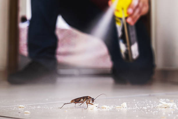 Best Insect Control  in Oswego, IL