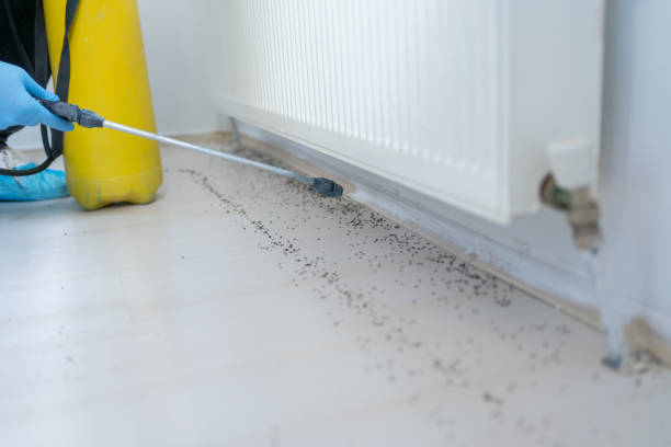 Best Affordable Pest Control Services  in Oswego, IL