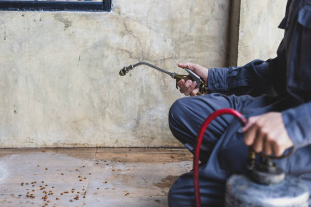 Best Residential Pest Control  in Oswego, IL